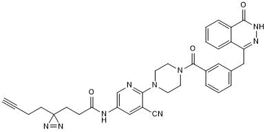 PARP inhibitor; photoaffinity probe
