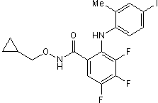 Selective inhibitor of MEK1/2