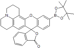 Fluorescent hydrogen peroxide indicator