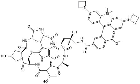 Red fluorescent F-actin probe