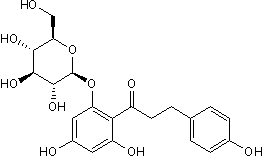 Na+-glucose cotransporter (SGLT) inhibitor