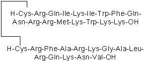 Selective cell-permeable PKC inhibitor peptide (attached to vector)