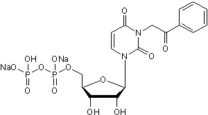 Potent and selective P2Y6 agonist
