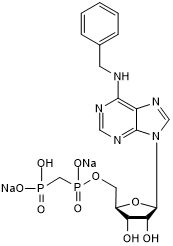 Ecto-5'-nucleotidase (CD73) inhibitor