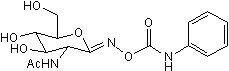 O-GlcNAcase and β-hexosaminidase inhibitor