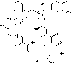 mTOR inhibitor; immunosuppressant