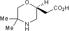 Selective and competitive GABAB antagonist; orally bioavailable