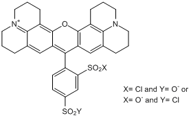Red fluorescent dye; amine reactive