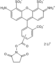 Green fluorescent dye; amine reactive