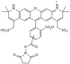 Orange fluorescent dye; amine reactive