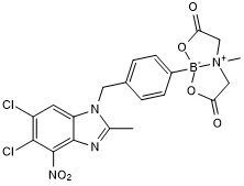 Potent dCTP pyrophosphatase 1 inhibitor