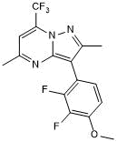 Positive allosteric modulators of mGlu7 and mGlu8 receptors; also NK1 antagonist; brain penetrant