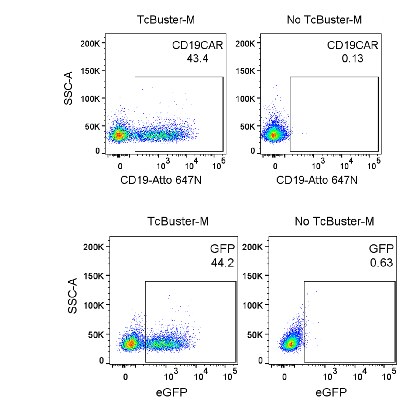 CD19 CAR and eGFP expression in TcBuster transposed primary T cells evaluated by flow cytometry compared to a no TcBuster-M Transposase mRNA control.