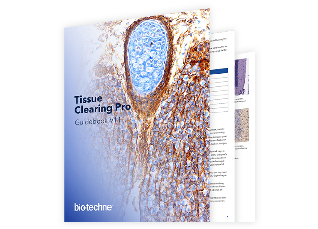 Tissue Clearing Pro Guidebook