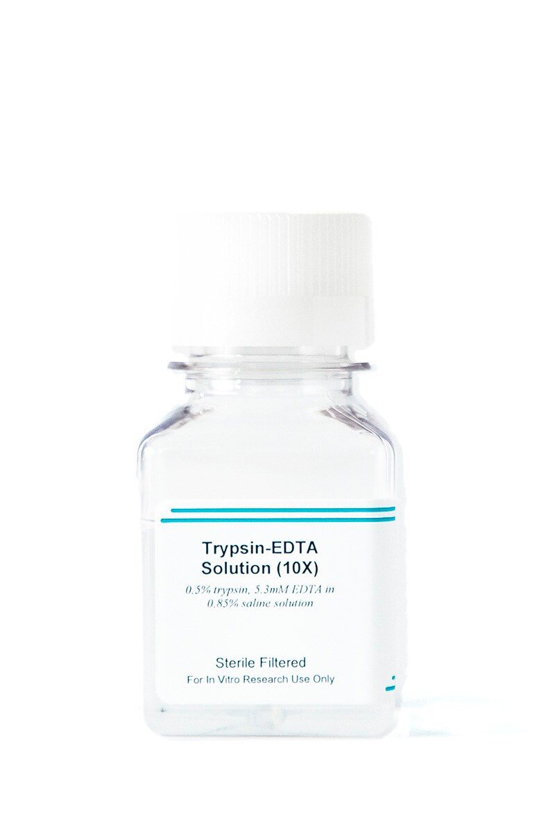 Trypsin 0.5% - EDTA 5.3 mM (10X)