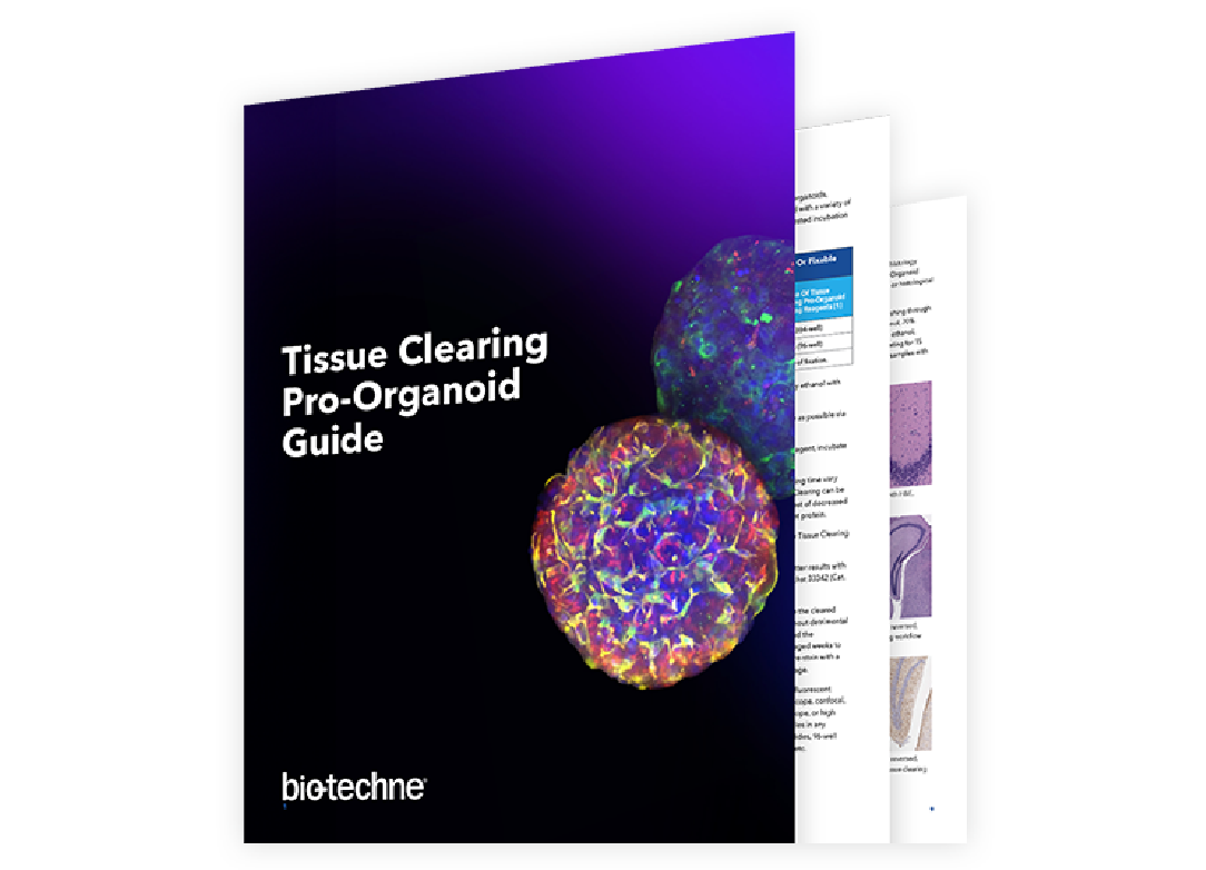 Tissue Clearing Pro-Organoid Guide