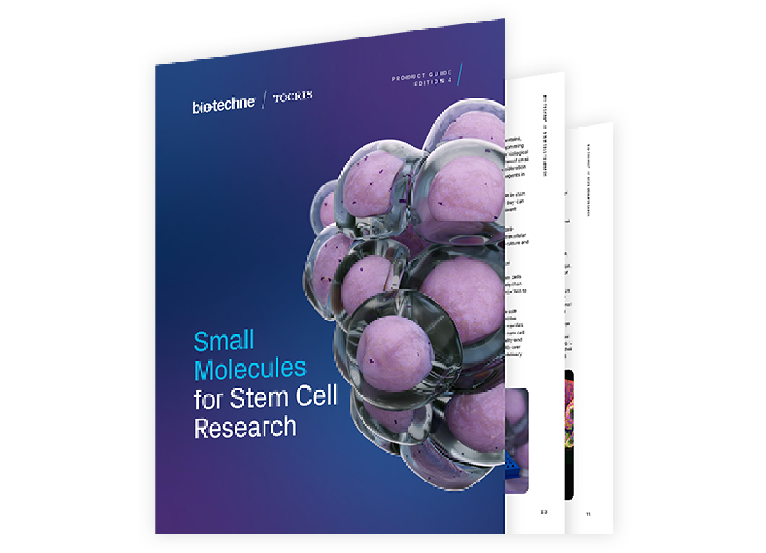Small Molecules for Stem Cell Research Guide