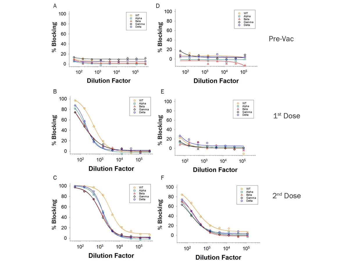 Data showing blocking ability of antibodies from vaccinated individuals to disrupt the Spike protein to ACE-2 interaction in ELISA