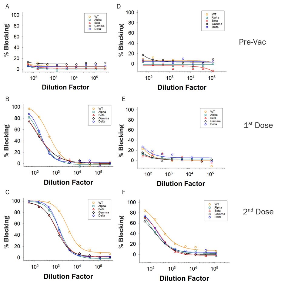 Data showing blocking ability of antibodies from vaccinated individuals to disrupt the Spike protein to ACE-2 interaction in ELISA