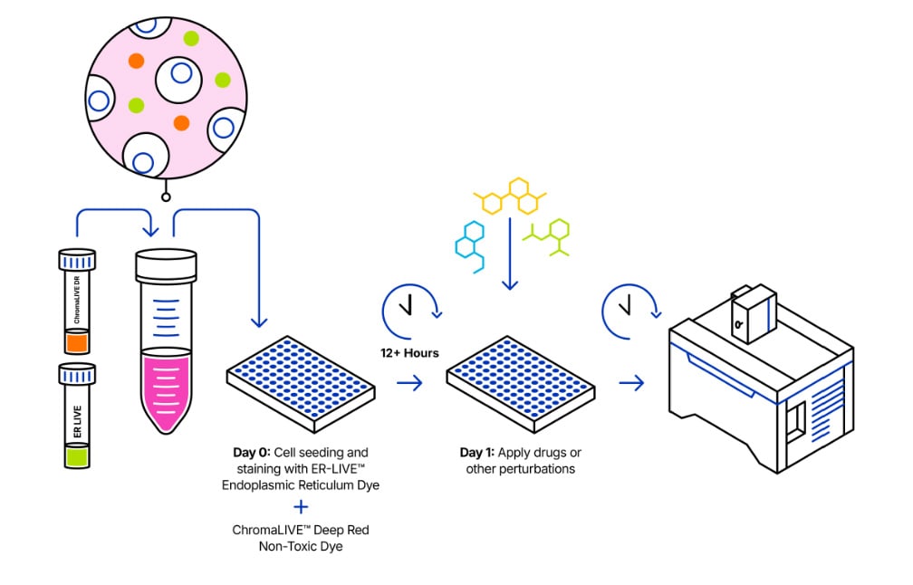 ChromaLIVE™ + ER Protocol Overview