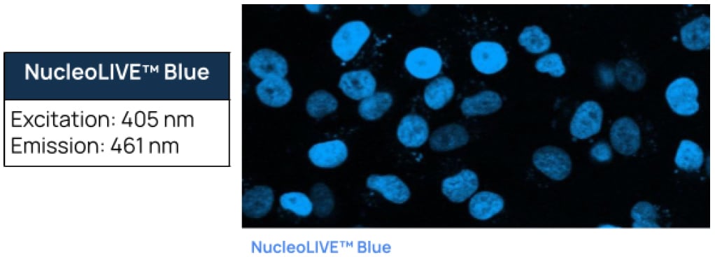 NucleoLIVE™ Blue Non-Toxic Dye