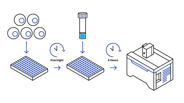 Protocol overview for NucleoLIVE™ Non-Toxic Dye
