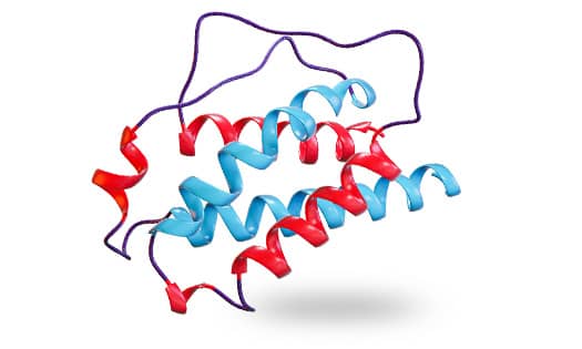 R&D Systems ribbon structure of the human IL-2 protein