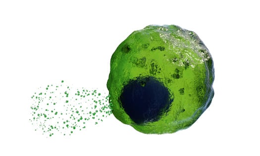Green cell secreting cytokines
