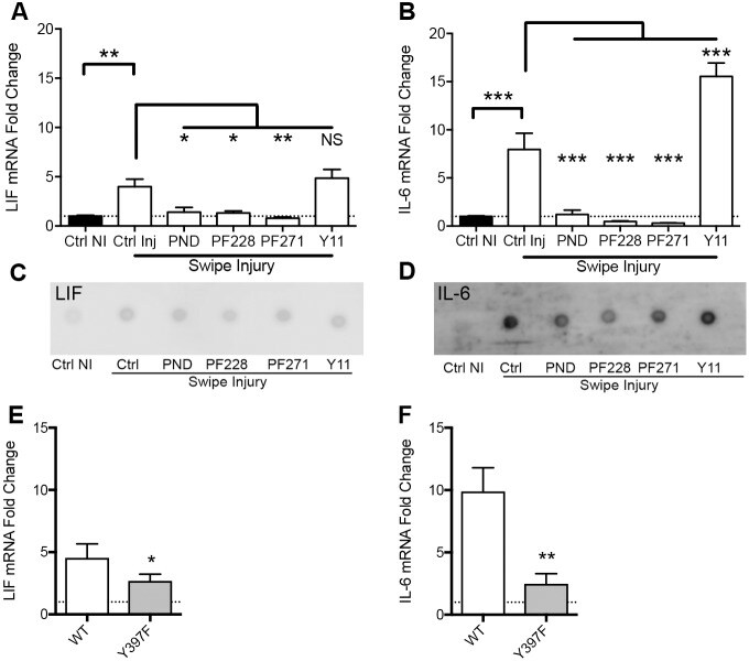 BC 11 hydrobromide 4372