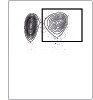 Human NKG2C/CD159c Antibody MAB1381