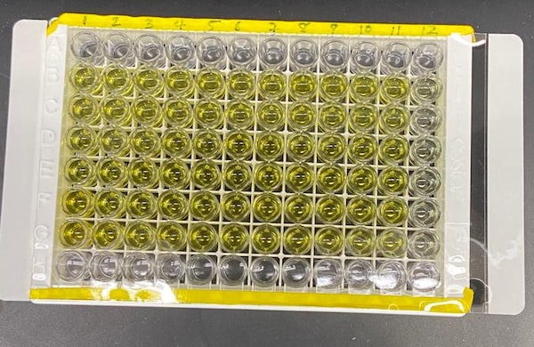 Recombinant Human APRIL/TNFSF13 (HEK293-expressed) Protein 5860-AP