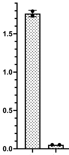 Recombinant Human BAFF/BLyS/TNFSF13B Protein 2149-BF