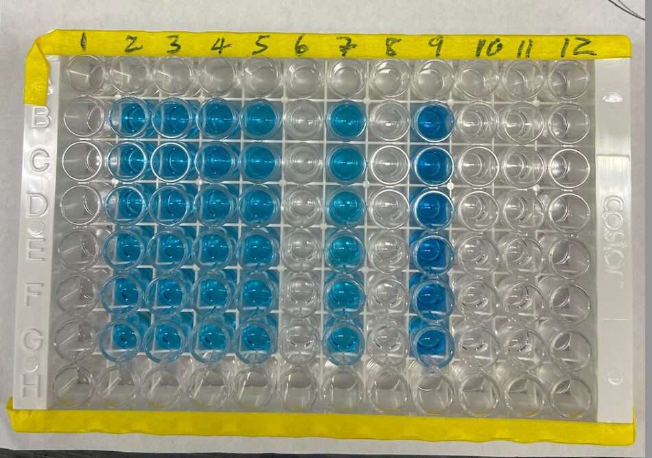 Recombinant Human BCMA/TNFRSF17 Fc Chimera Protein, CF 193-BC