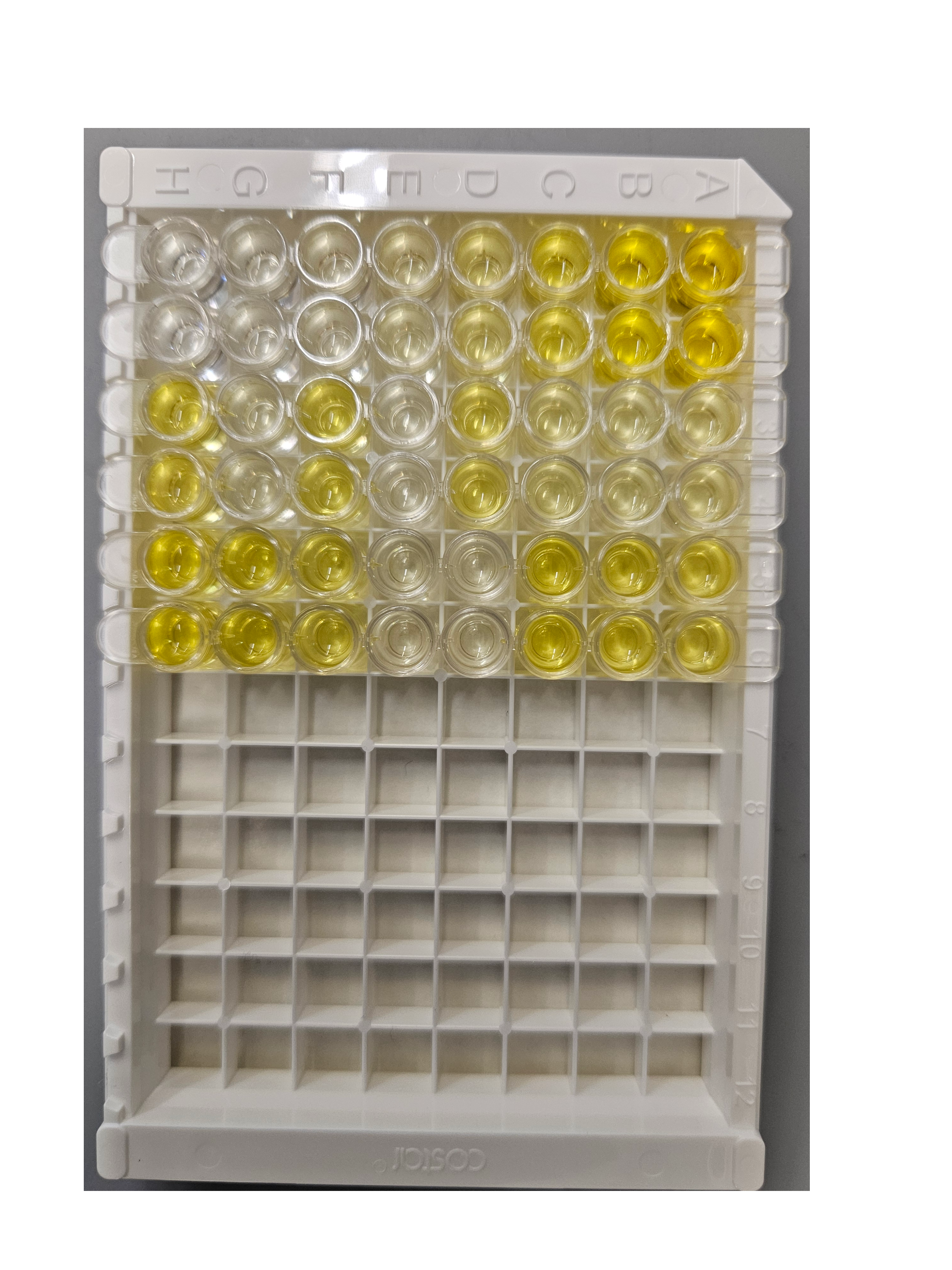 Hyaluronan Quantikine ELISA Kit DHYAL0