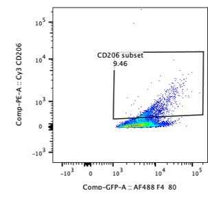 MMR/CD206/Mannose Receptor Antibody - BSA Free NBP1-90020