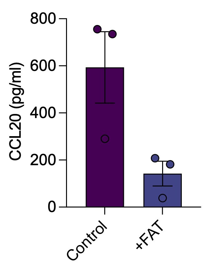 Human CCL20/MIP-3 alpha DuoSet ELISA DY360