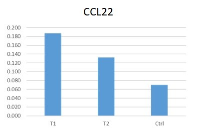 Recombinant Human CCL22/MDC Protein 336-MD