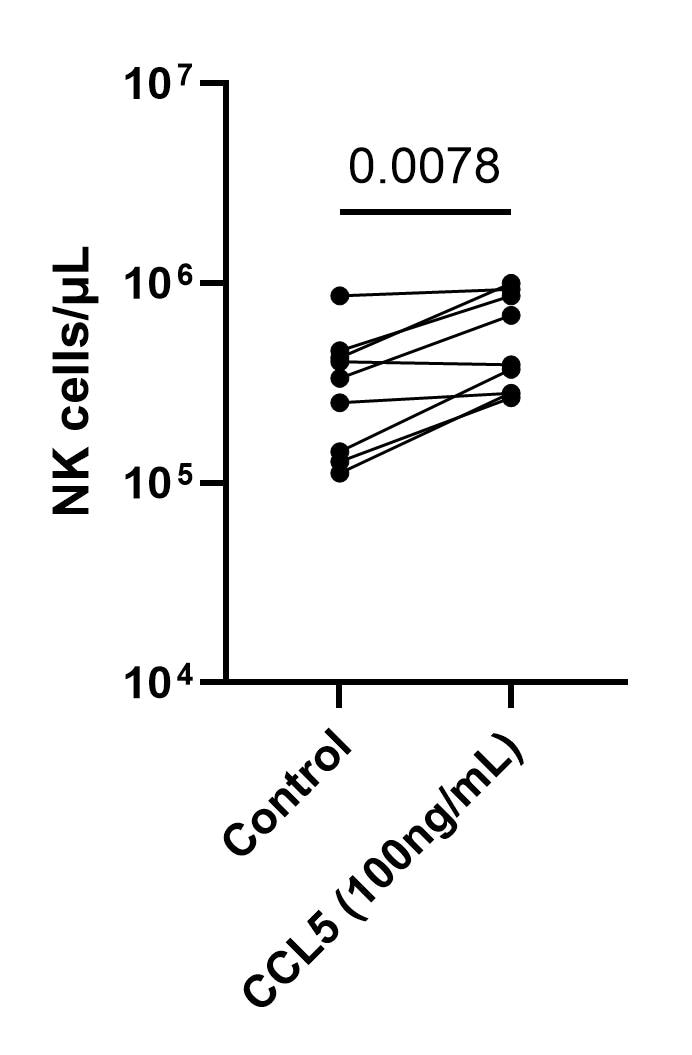 Recombinant Human CCL5/RANTES Protein 278-RN