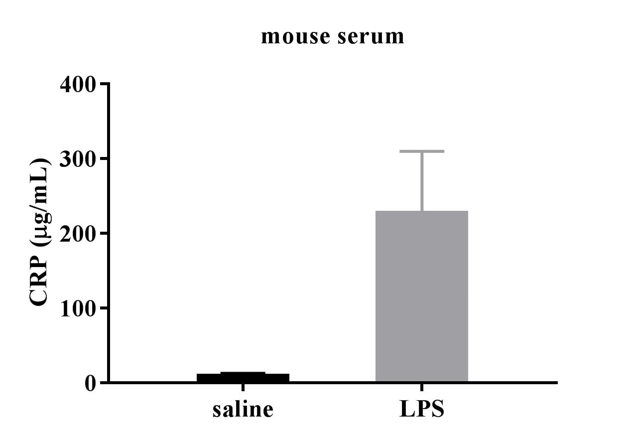 Mouse C-Reactive Protein/CRP DuoSet ELISA DY1829