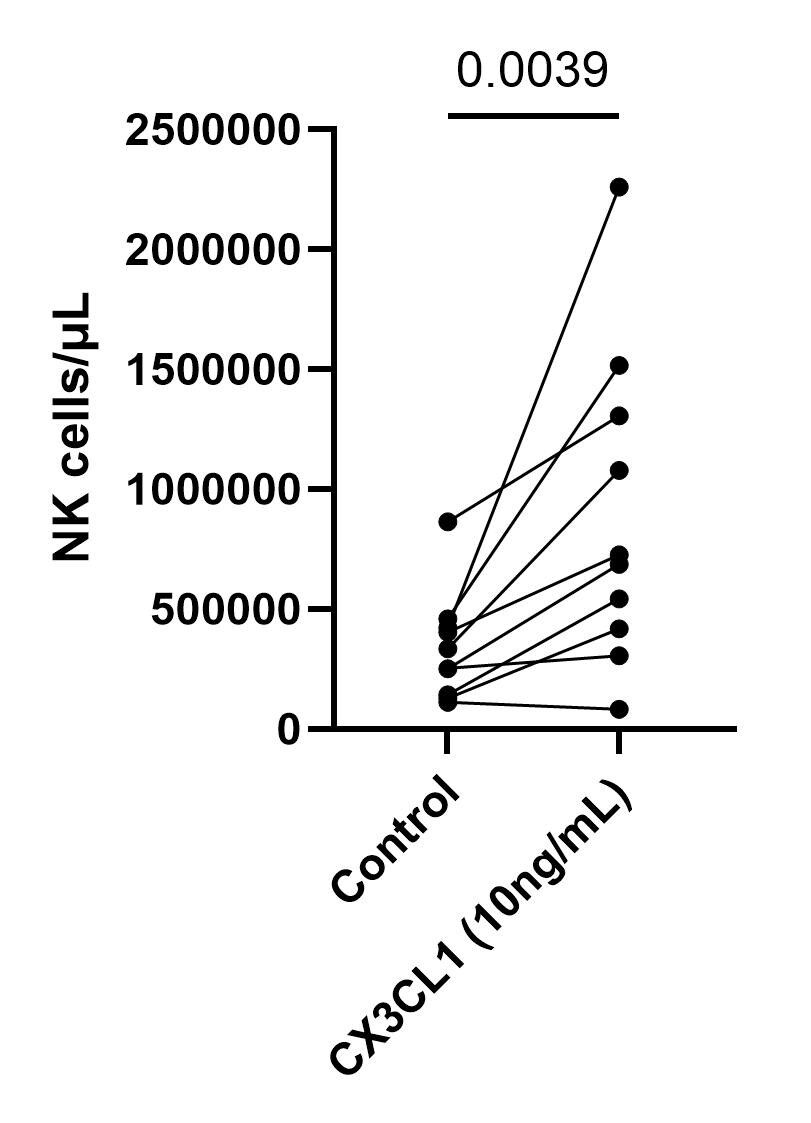 Recombinant Human CX3CL1/Fractalkine (Full Length) Protein 365-FR