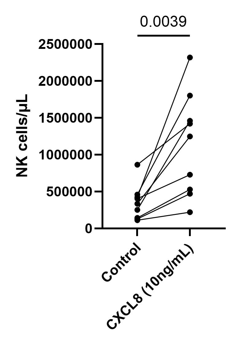 Recombinant Human IL-8/CXCL8 Protein 208-IL