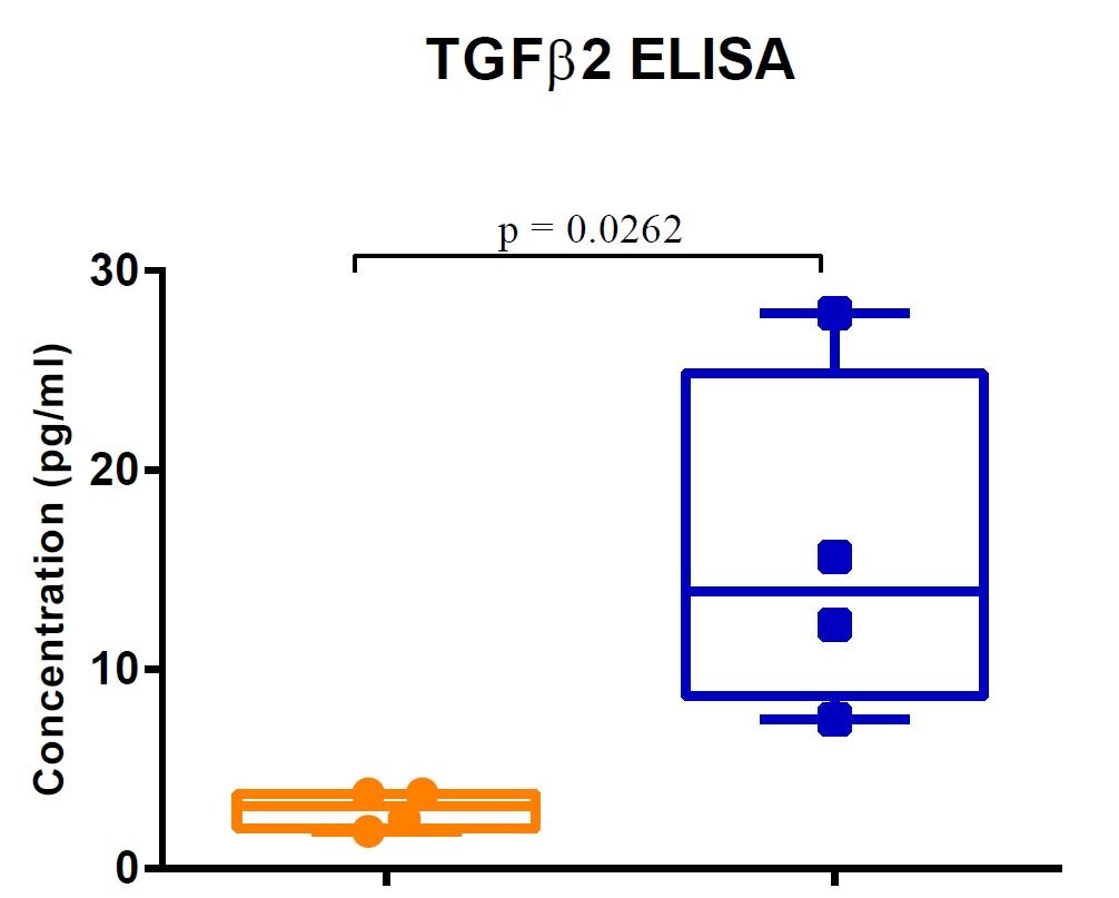 Mouse/Rat/Canine/Porcine TGF-beta 2 Quantikine ELISA Kit MB200