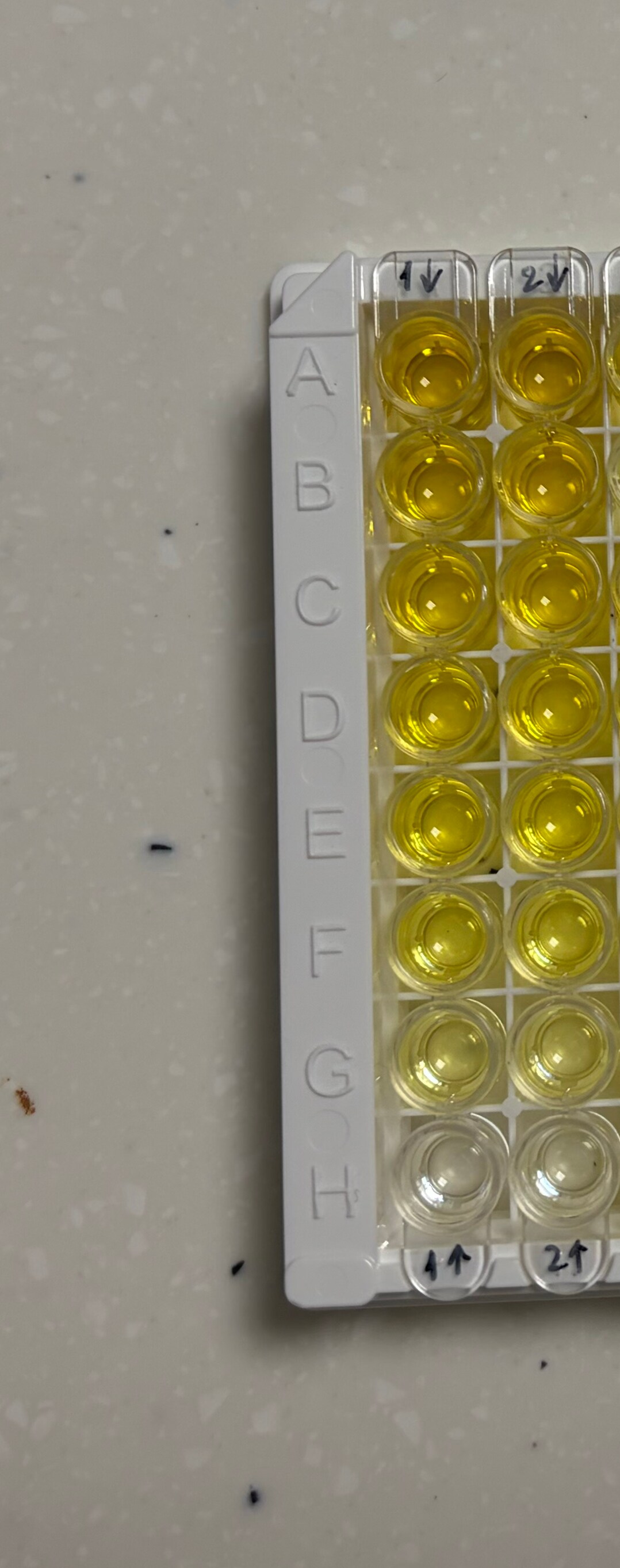 Human CCL20/MIP-3 alpha DuoSet ELISA DY360