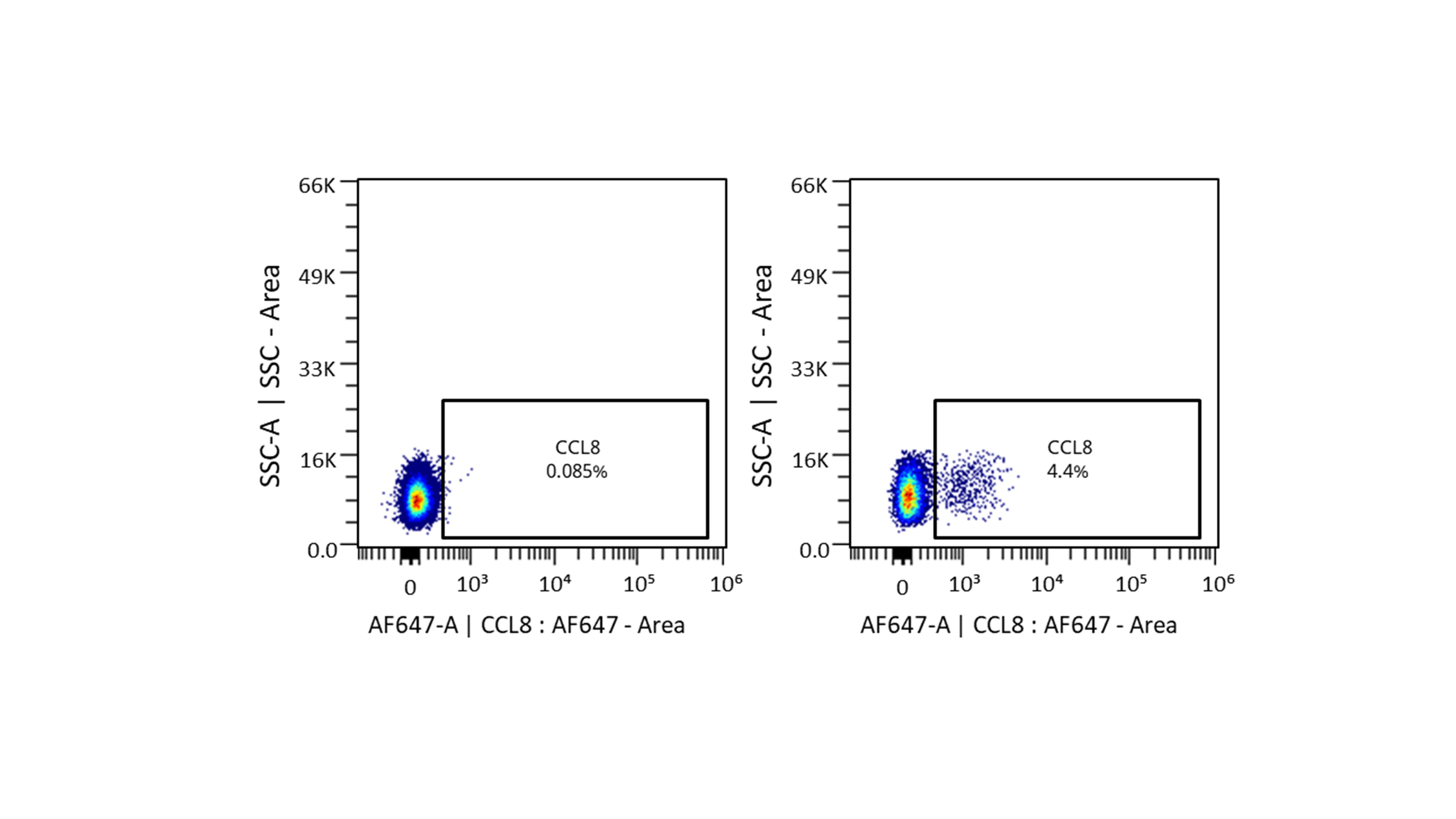 CCL8/MCP-2 Antibody (CCL8/3683) - Azide and BSA Free NBP3-14173