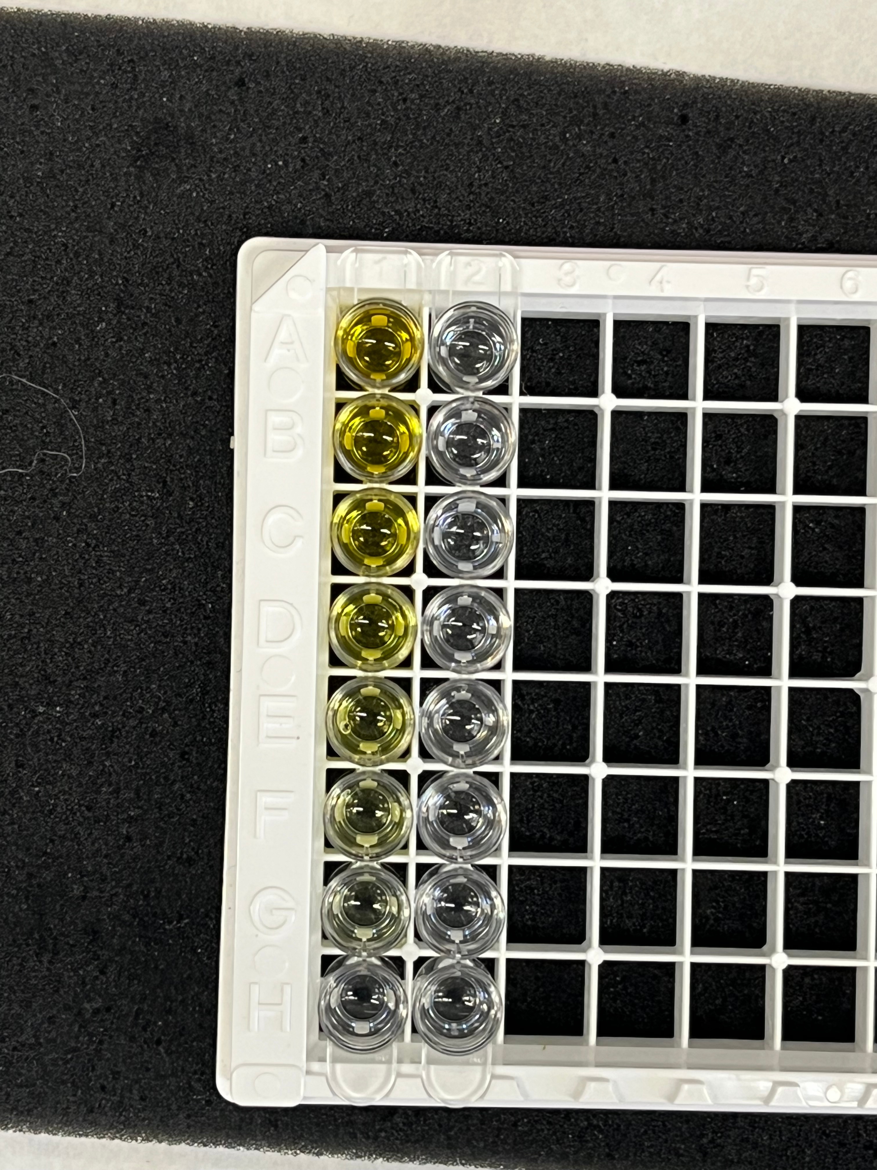 Mouse IL-1 beta/IL-1F2 DuoSet ELISA DY401