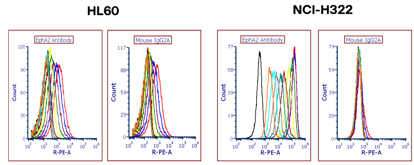 Human EphA2 PE‑conjugated Antibody FAB3035P