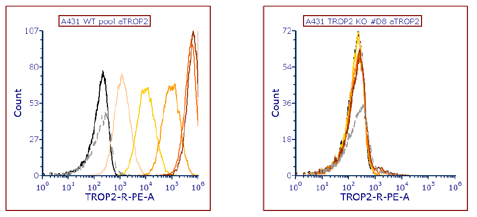 Human TROP‑2 PE‑conjugated Antibody FAB650P