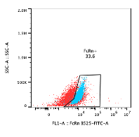 Human FCRN Alexa Fluor® 488‑conjugated Antibody IC8639G