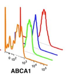ABCA1 Antibody [FITC] NB400-105F