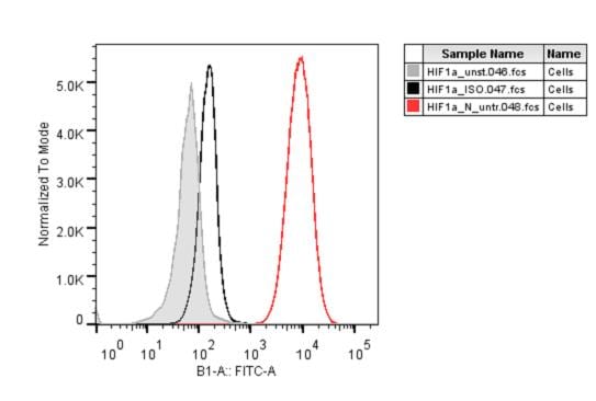 HIF-1 alpha Antibody (H1alpha67) [Alexa Fluor® 488] NB100-105AF488